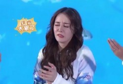 艺兴热巴爆料视频事件,真相与争议交织